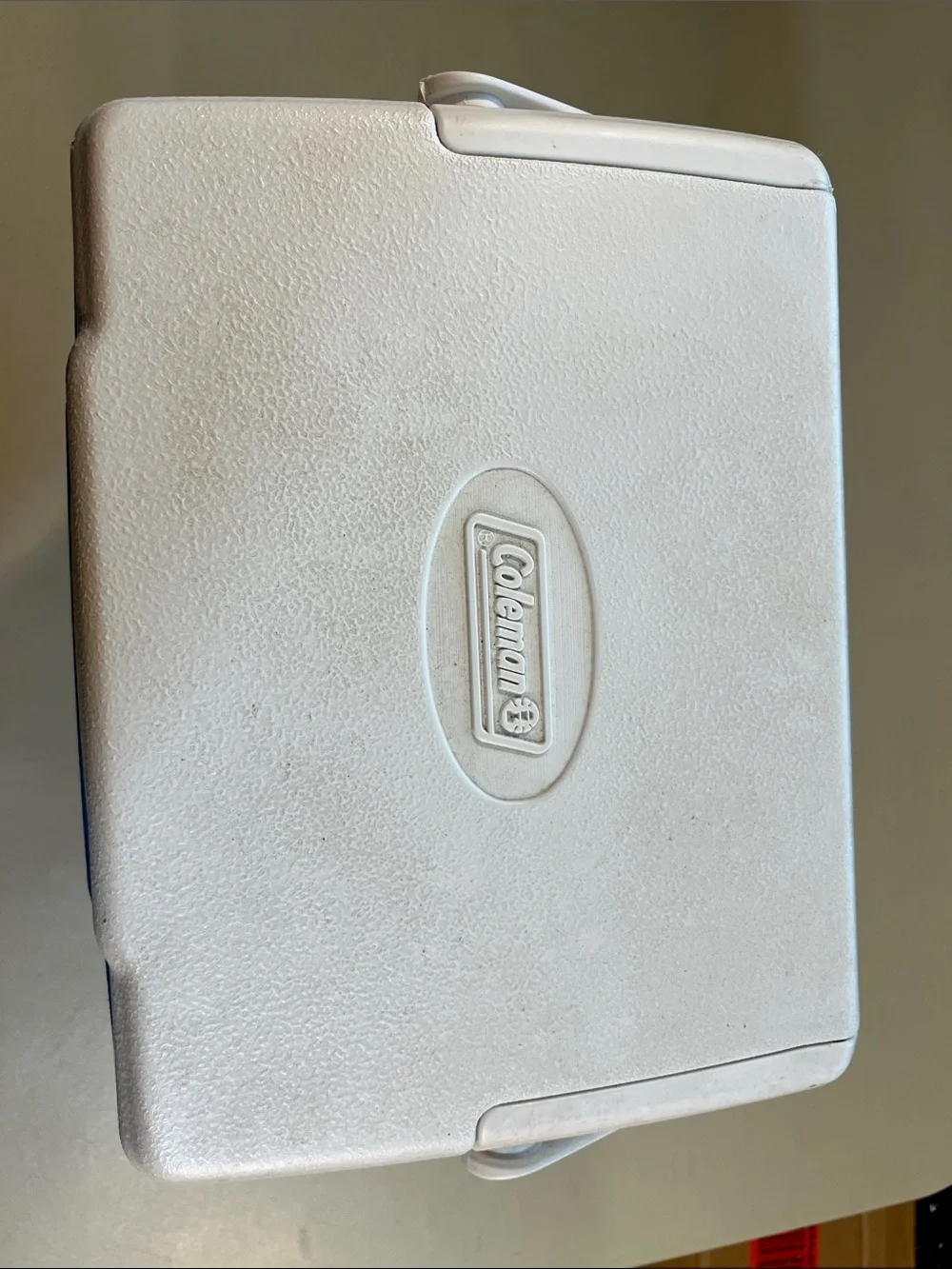 Coleman Blue and White Personal Chiller Cooler